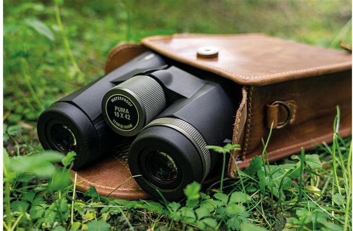 Actual product image Dörr Binocular quiver Cape Town S cognac (Camera case, 2.18 l)