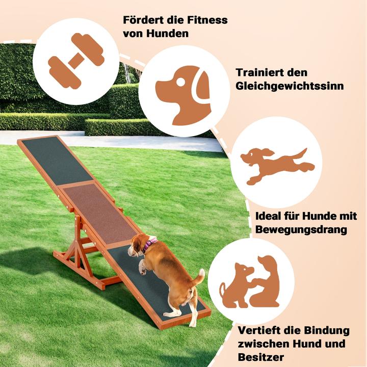 Image du produit Wiltec Balançoire pour chien (Agility)
