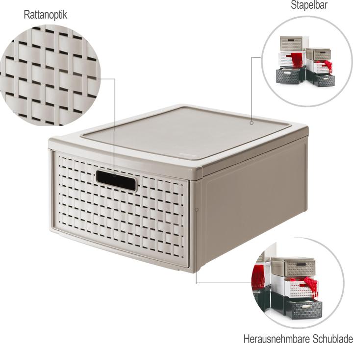 Immagine prodotto Rotho Paese (34 x 20 x 45 cm)