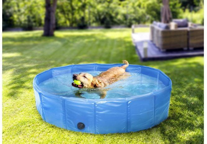 Image du produit Flamingo Doggy Splash Pool Blue M - (540058510924) (Piscine pour chiens)