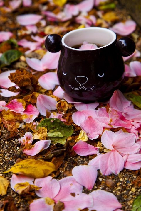 Actual product image Mugs Panda Mug (283 ml, 1 x)