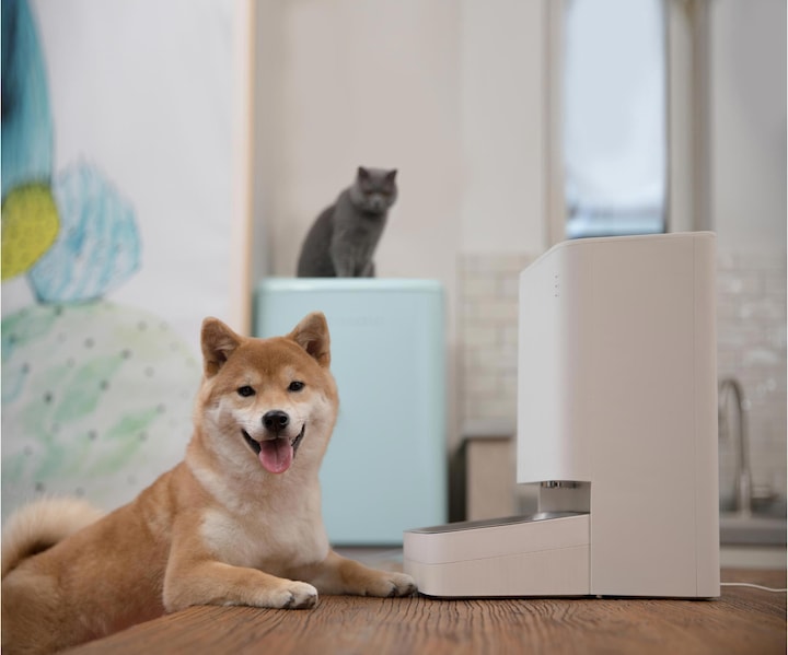 Actual product image Xiaomi Smart Pet Food Feeder (3.60 l)