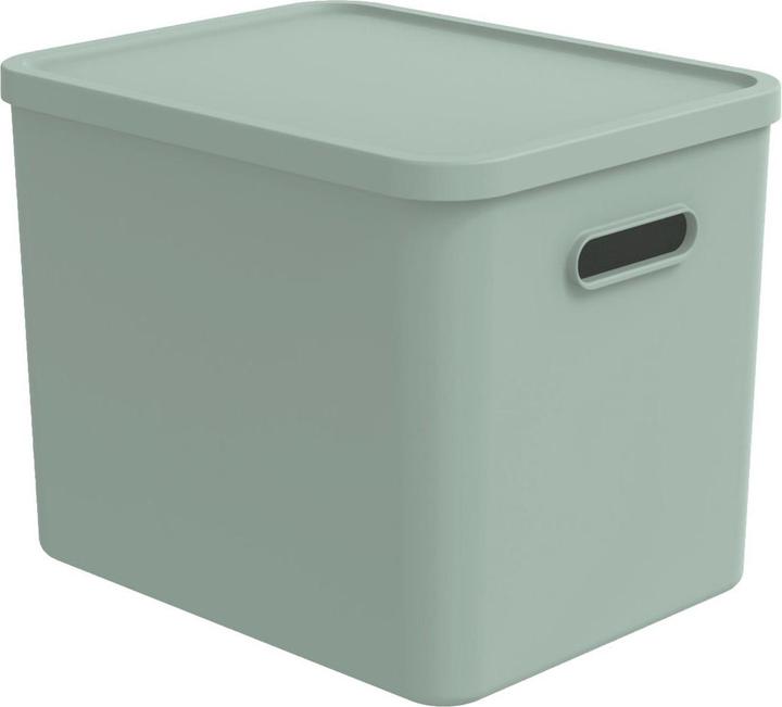 Rotho Babydesign Spielzeugbox KAYO L Sage Green