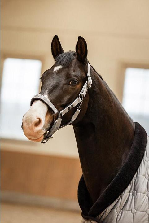 Produktbild BR Equestrian Equipment Clx