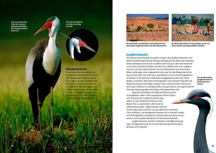 Image du produit Entdecke die Kraniche (Allemand, Helga Müller-Wensky, 2015)