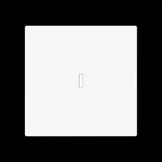 white (similar to RAL 9016)