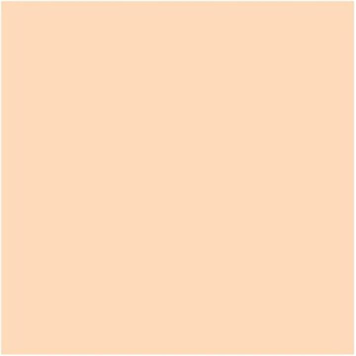 Actual product image MAC Cosmetics Studio Finish SPF 35 Concealer (NC10)