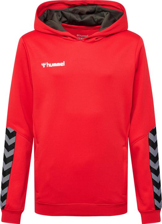 Actual product image hummel Authentic Kids Poly Hoodie (152)