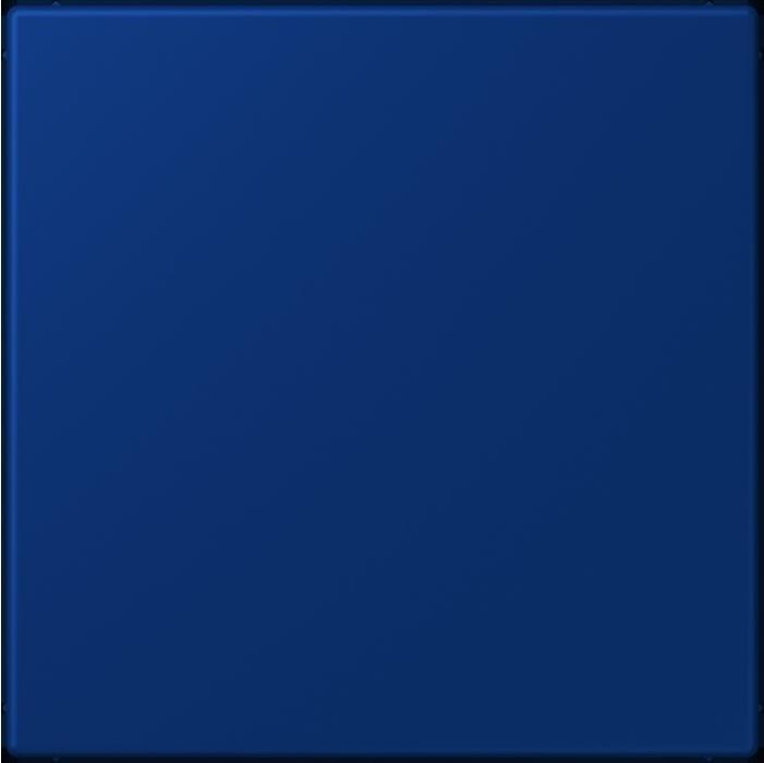 Produktbild JUNG Blindabdeckung