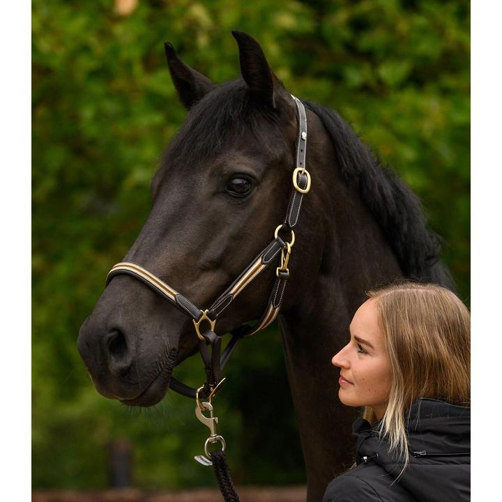 Immagine prodotto Waldhausen X-Line Oxford