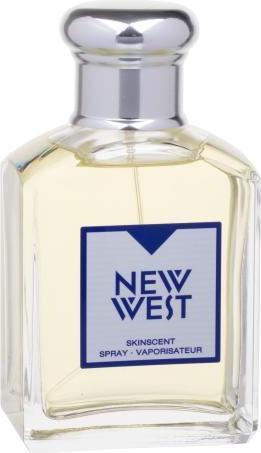 Image du produit Aramis Nouvel Ouest (Eau de toilette, 100 ml)