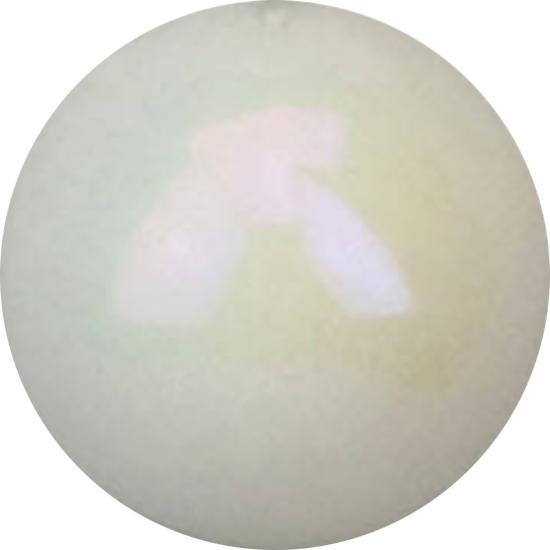 Produktbild Star Piercing Micro Kugel metallbeschichtet weiss (Kunststoff, ohne Messing)
