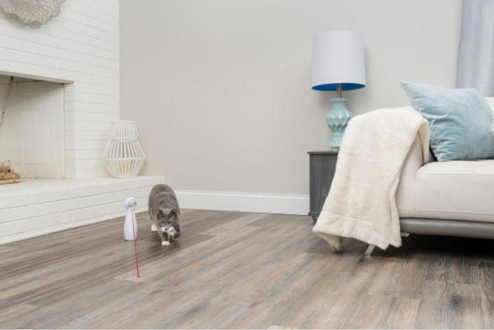 Produktbild PetSafe Bolt (Katzenminzespielzeug)