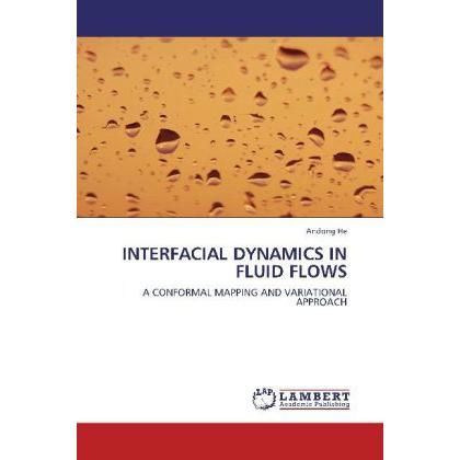 Interfacial Dynamics In Fluid Flows, Fachbücher