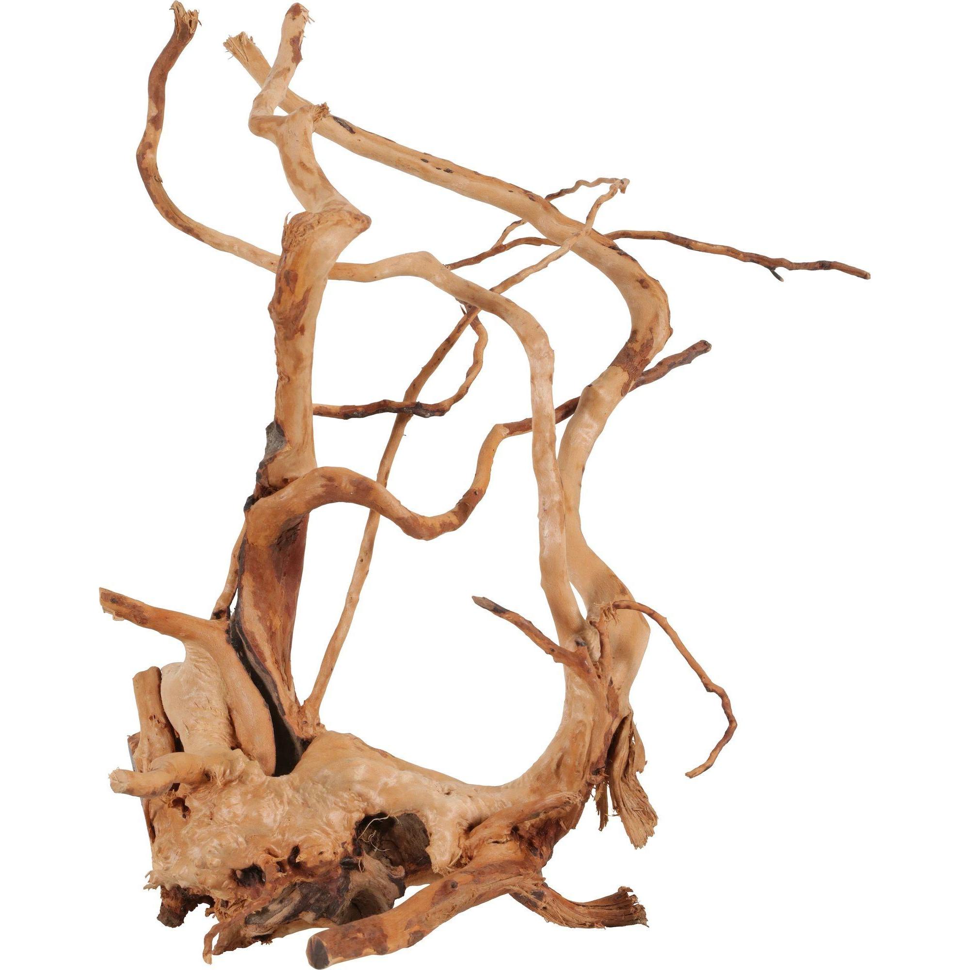 Zolux Japanese root spider 40-50 cm (Dekoration, sonstige Gegenstände), Aquarium Dekoration