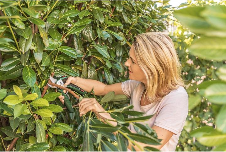 Productafbeelding Bosch Home & Garden Accu-tuinschaar EasyPrune
