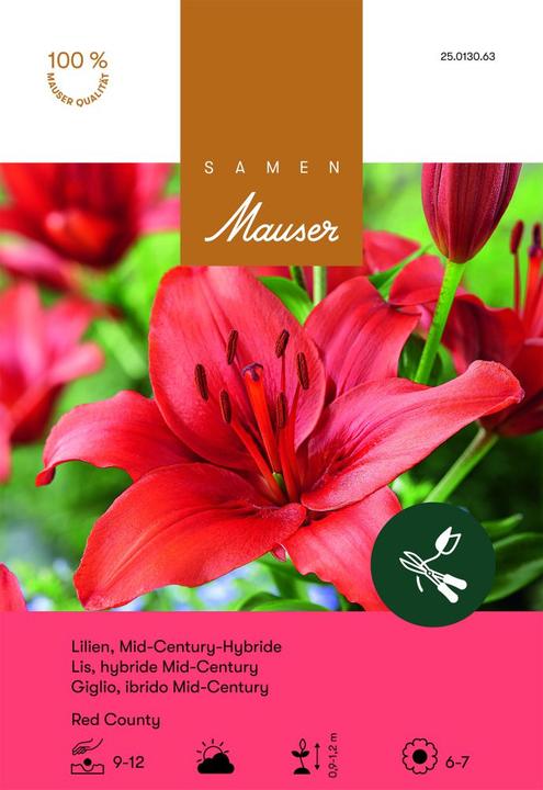 Produktbild Samen Mauser Lilien Grand Paradiso (Blumenzwiebeln)