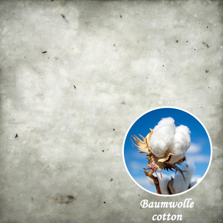 Actual product image Erwin Müller Bio Baumwolle (80 x 80 cm)