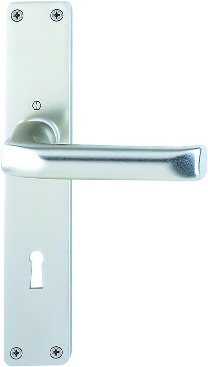 Actual product image Hoppe Lever handle 113 London (Door handle)