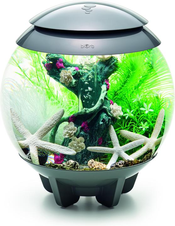 Immagine prodotto Oase biOrb Aquarium 15 Set di Decori (Decorazione, Piante)