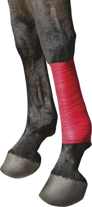 Immagine prodotto Kerbl Bende autoadesive EquiLASTIC