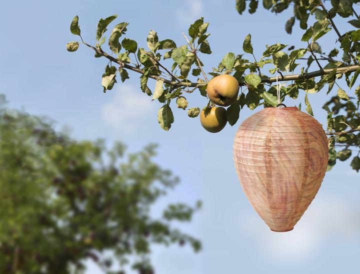 Actual product image Gardigo Wasp Nest Dummy