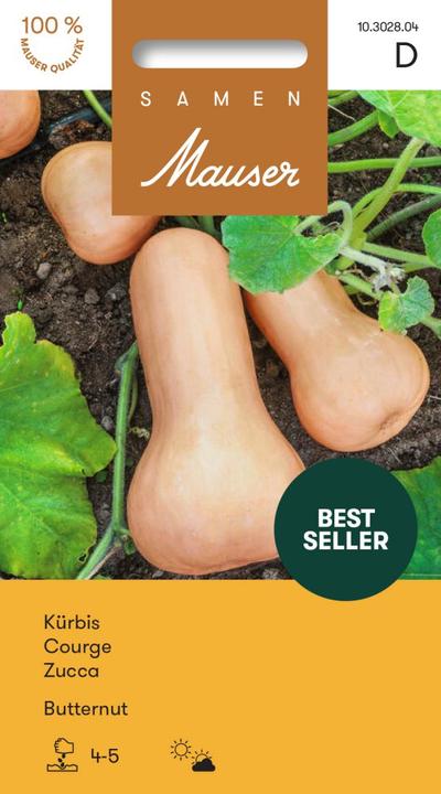 Actual product image Samen Mauser Butternut squash (Vegetable seeds)