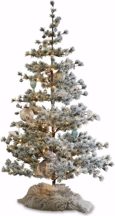 Image du produit Loberon Sapi (180 cm)