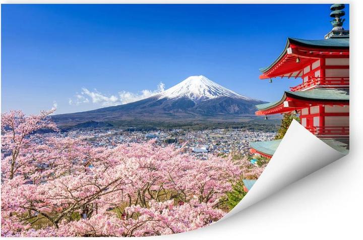 Image du produit Trenddeko Le Mont Fuji (60 x 40 cm)