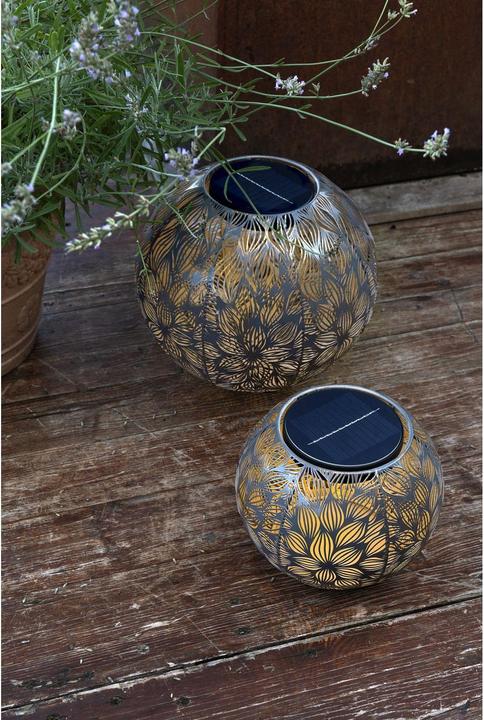 Image du produit STT Flora