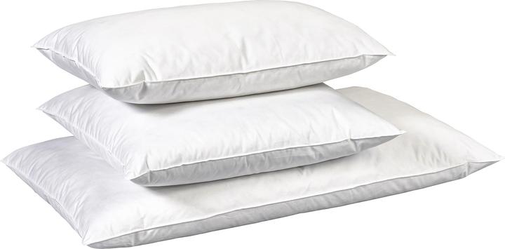 Image du produit Billerbeck Edition Madlen (65 x 100 cm)