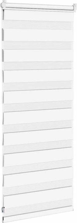 Produktbild vidaXL Zebra-Jalousie (60 x 100 cm)