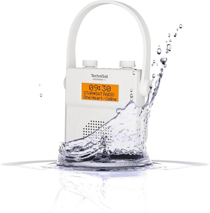 Actual product image TechniSat DigitRadio 30 (DAB+, Bluetooth)