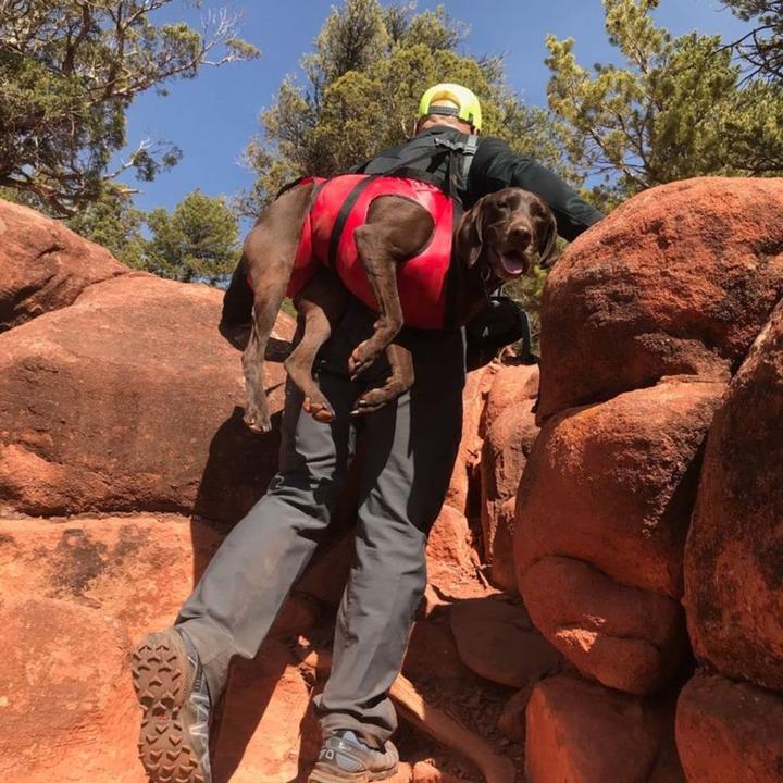 Actual product image Fido Pro Airlift (M, Dog vest)