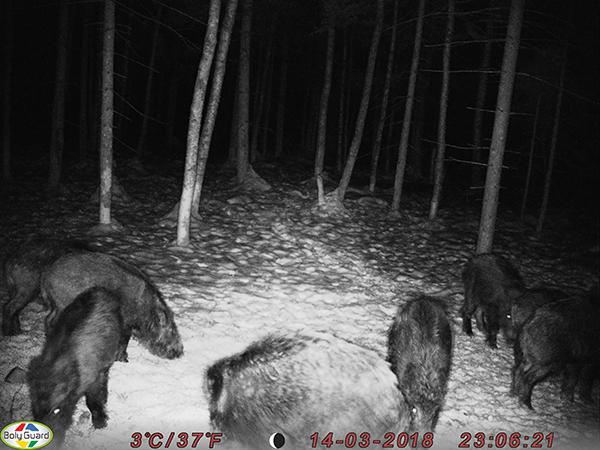 Immagine prodotto Boly Cam 48MP/1080P Video/Nero IR 940nm