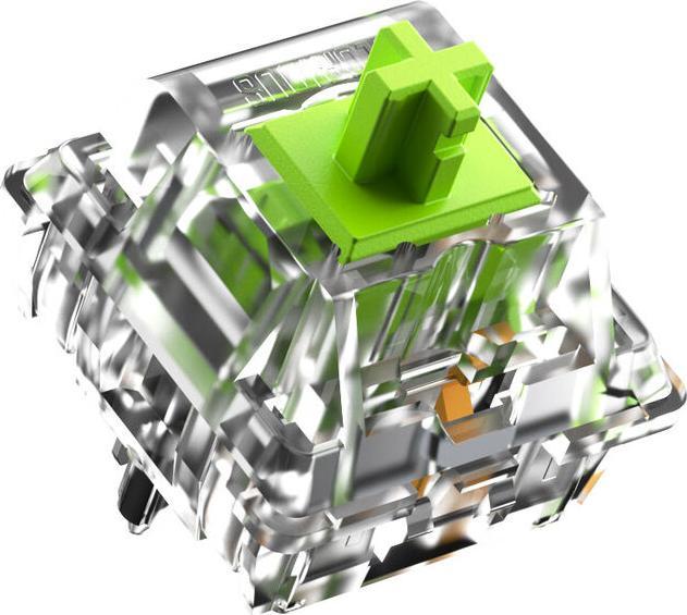 Actual product image Glorious Raptor Standard Switch, mechanical, 5-pin, clicky, MX-Stem, 55g - lubed, 36 pieces