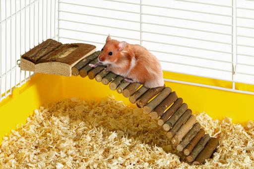 Immagine prodotto Karlie Ponti del paese delle meraviglie