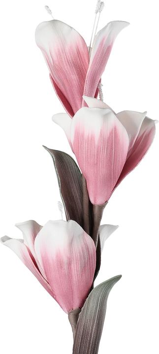 Immagine prodotto EGLO LIVING Molave (85 cm)