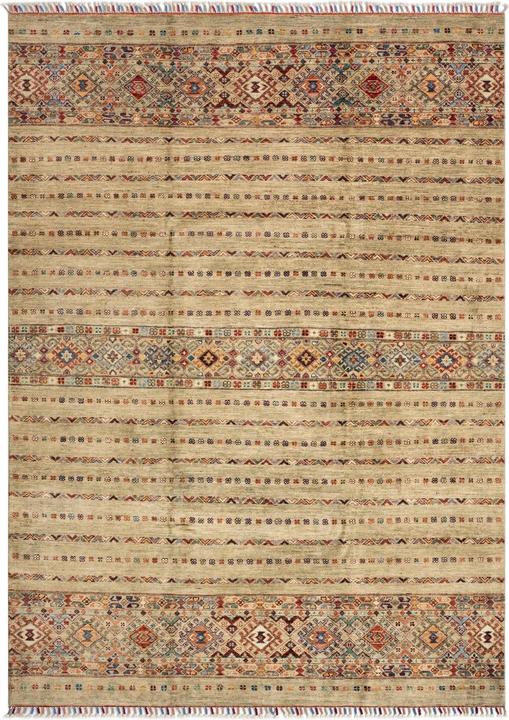 Image du produit Vidal Torkman (172 x 240 cm)