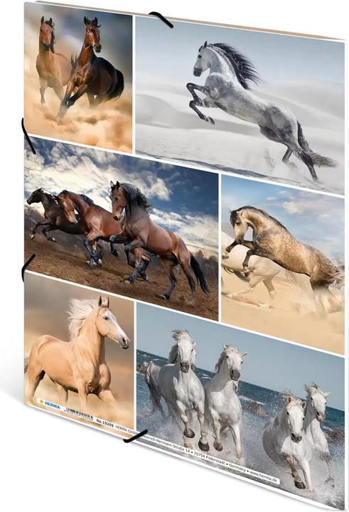 Image du produit HERMA Porte-documents A4 Motif (A4, 1 x)