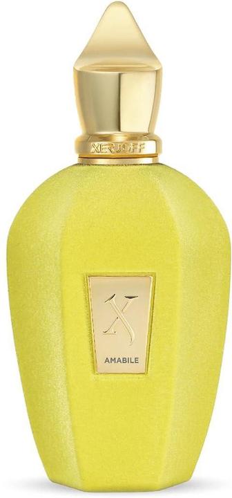 Image du produit XerJoff Amabile (Eau de parfum, 100 ml)
