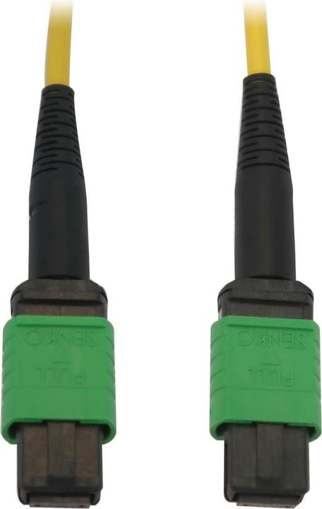 Actual product image Eaton 40/100G Singlemode 9/125 OS2 Fibre Optic Cable 12F MTP/MPO-APC F/F LSZH Yellow 3m 9 (3 m)