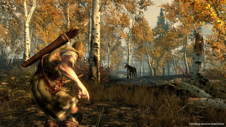 Produktbild Bethesda The Elder Scrolls V: Skyrim, Xbox 360 Englisch (Xbox 360, EN)