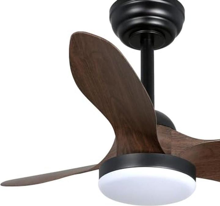 Wonderlamp Kleiner Deckenventilator mit integrierter LED-Beleuchtung und Fernbedienung
