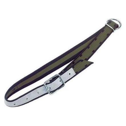 Magni Kerbl collier 150x5 cm, avec maillon ovale et anneau en D (Chien), Collier + laisse
