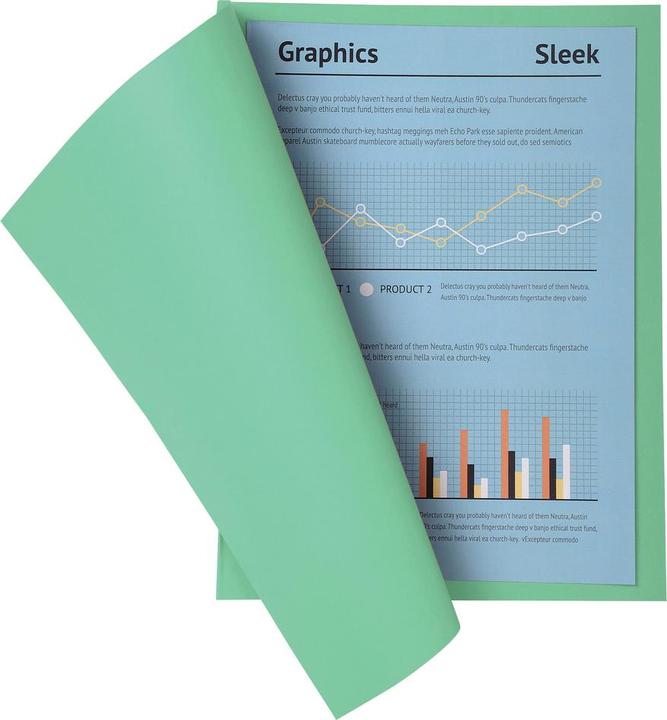 Produktbild Exacompta Sammelmappen - Aktendeckel (A4, 100 x)