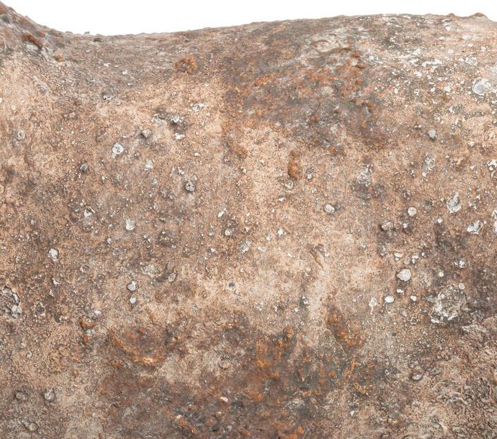 Image du produit pfister Mystic Forest