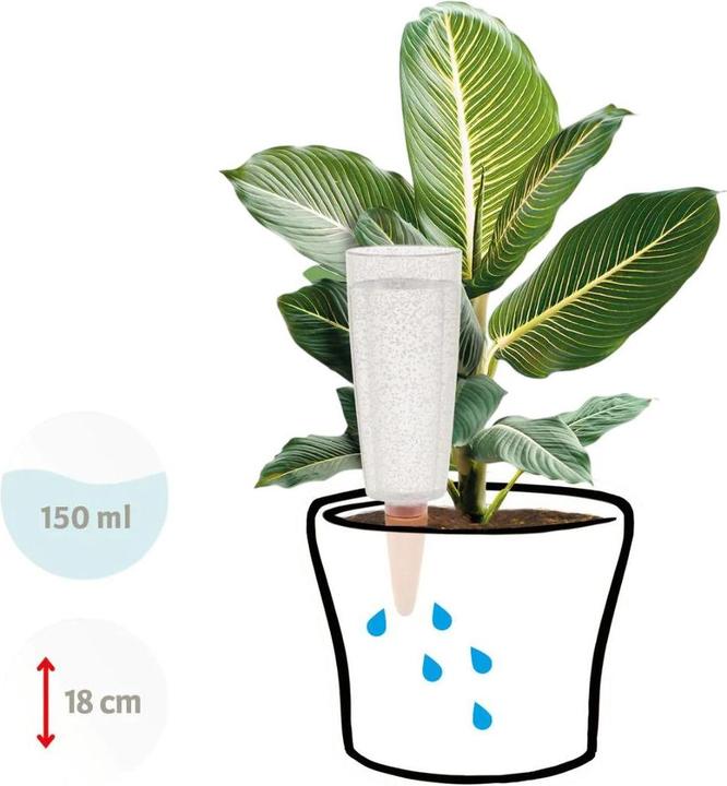 Actual product image Scheurich Copa XL (Clay cone)