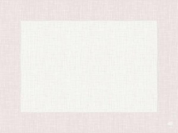 Immagine prodotto Duni Tovagliette Dunicel 30x40 bianco (10 pz., 30 x 40 cm)