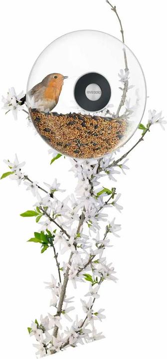 Actual product image Eva Solo Window feeder